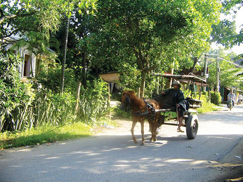 di xe ngua ngam lang co phu vinh